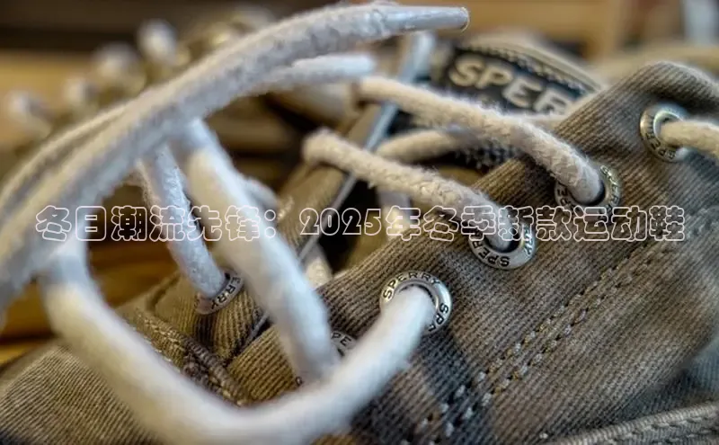 壹号大舞台下载链接