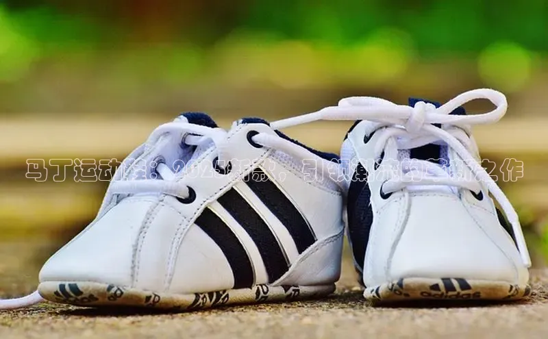 壹号大舞台网站